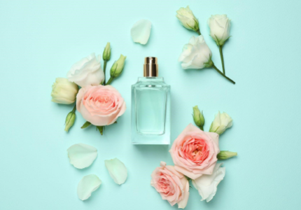 نت اولیه یا استارت یا تاپ نت