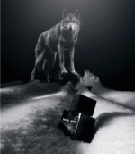 انکر نویر(انسر نویر)مردانه فروشگاه عطر شهر atreshahr.ir